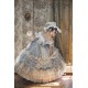 Hinana Queena 6th Year Anniversary New Wish Bridal One Piece(Leftovers/4 Colours/Full Payment Without Shipping)